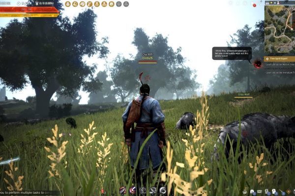 Black Desert Online Review: A Deep Dive into the MMORPG Experience