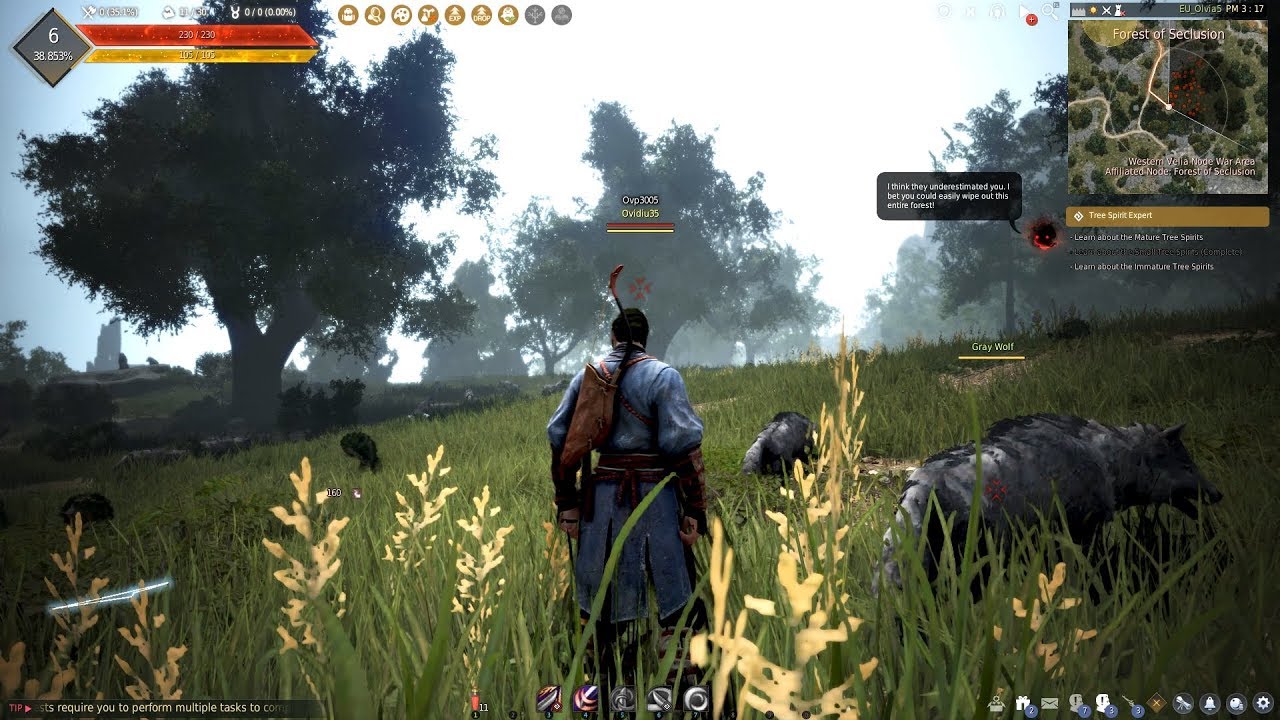 Black Desert Online Review: A Deep Dive into the MMORPG Experience